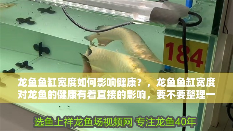 龍魚魚缸寬度如何影響健康？，龍魚魚缸寬度對龍魚的健康有著直接的影響，要不要整理一份