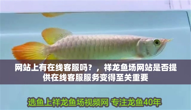 網(wǎng)站上有在線客服嗎？，祥龍魚(yú)場(chǎng)網(wǎng)站是否提供在線客服服務(wù)變得至關(guān)重要