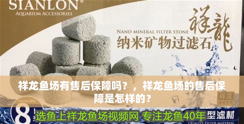 祥龍魚場有售后保障嗎？，祥龍魚場的售后保障是怎樣的？