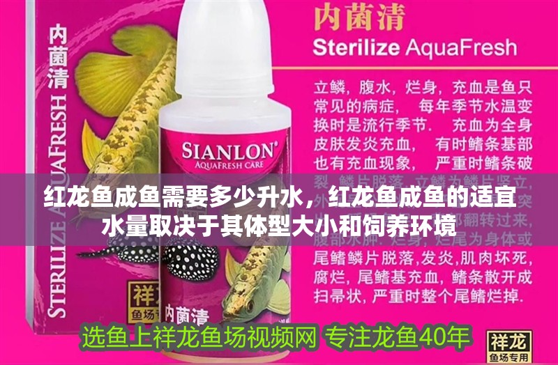 紅龍魚成魚需要多少升水，紅龍魚成魚的適宜水量取決于其體型大小和飼養環境
