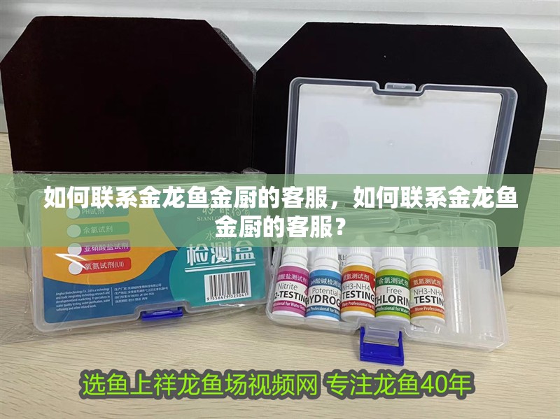 如何聯系金龍魚金廚的客服，如何聯系金龍魚金廚的客服？