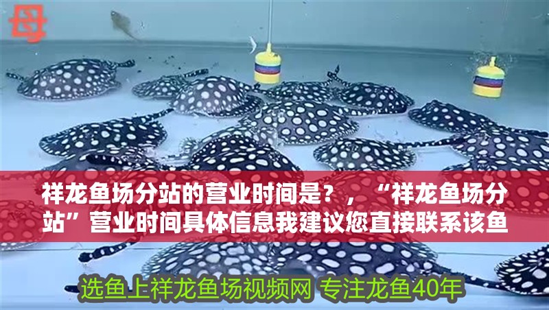 祥龍魚場分站的營業時間是？，“祥龍魚場分站”營業時間具體信息我建議您直接聯系該魚場或訪問