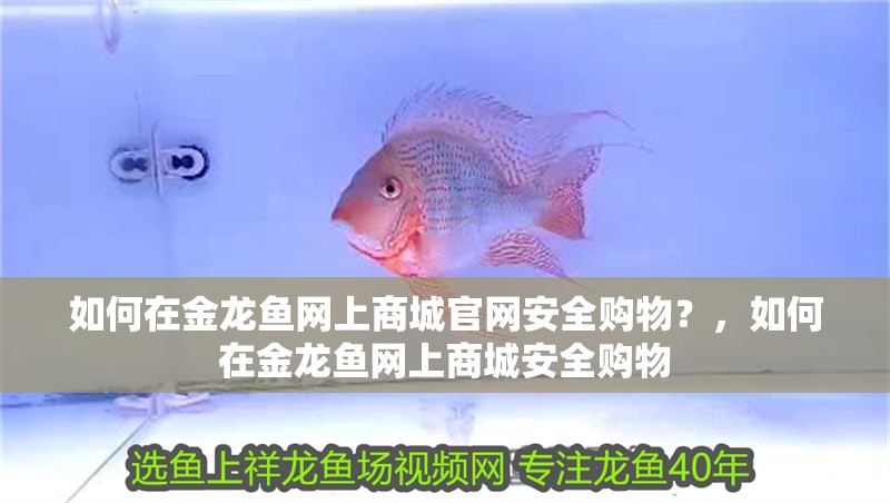 如何在金龍魚網(wǎng)上商城官網(wǎng)安全購物？，如何在金龍魚網(wǎng)上商城安全購物