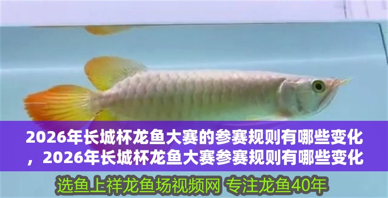 2026年長城杯龍魚大賽的參賽規則有哪些變化，2026年長城杯龍魚大賽參賽規則有哪些變化