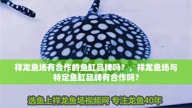 祥龍魚場有合作的魚缸品牌嗎？，祥龍魚場與特定魚缸品牌有合作嗎？