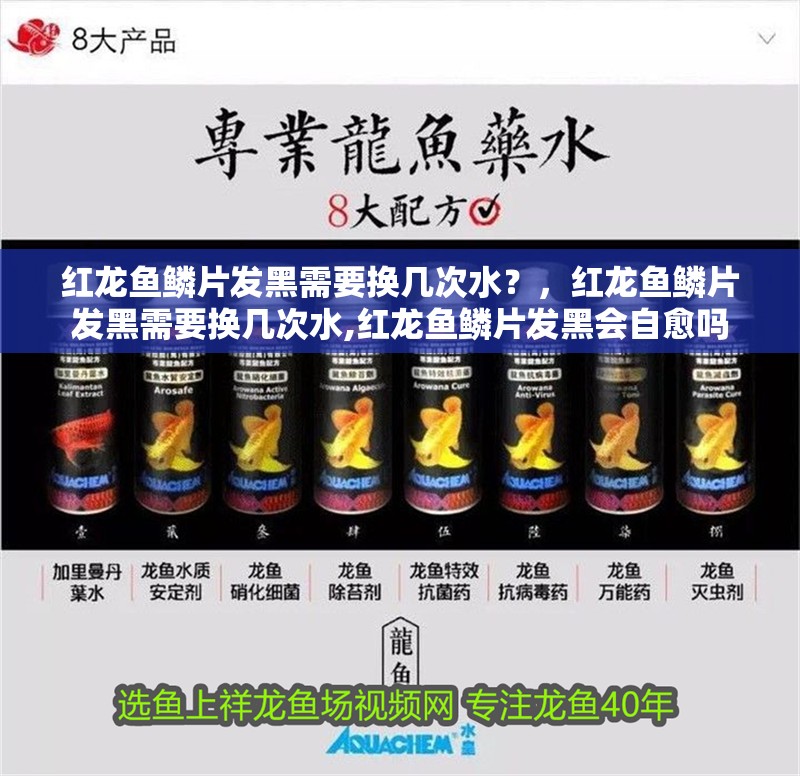 紅龍魚鱗片發黑需要換幾次水？，紅龍魚鱗片發黑需要換幾次水,紅龍魚鱗片發黑會自愈嗎