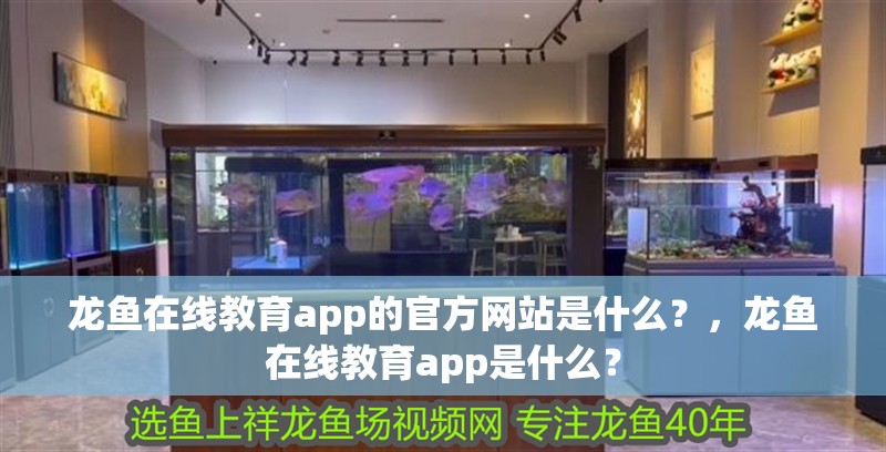 龍魚在線教育app的官方網站是什么？，龍魚在線教育app是什么？