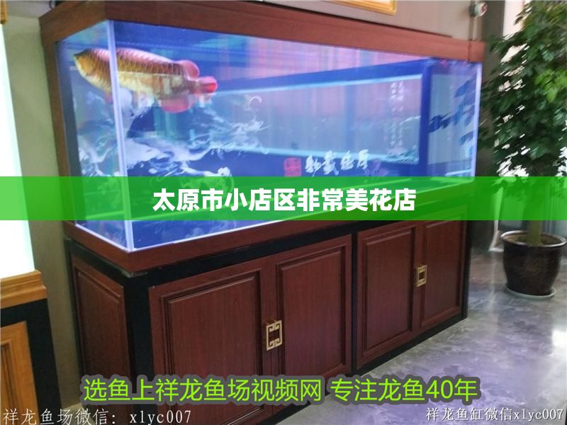 太原市小店區非常美花店