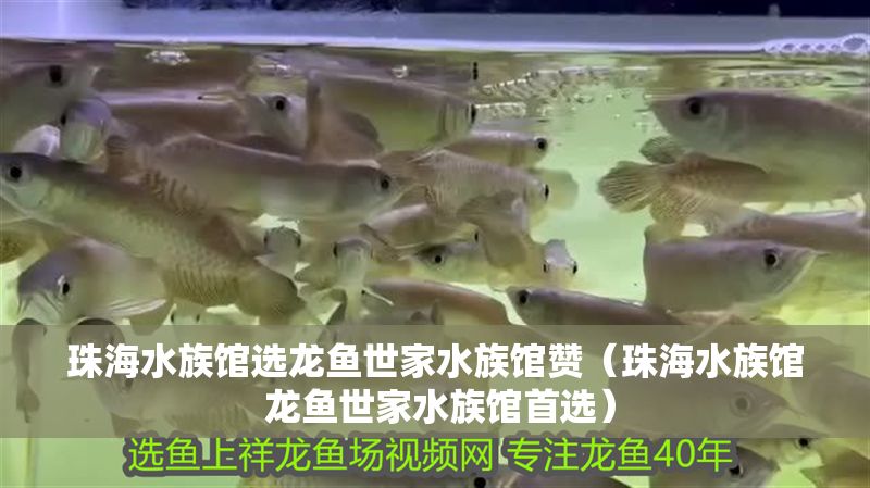 珠海水族館選龍魚世家水族館贊（珠海水族館 龍魚世家水族館首選）
