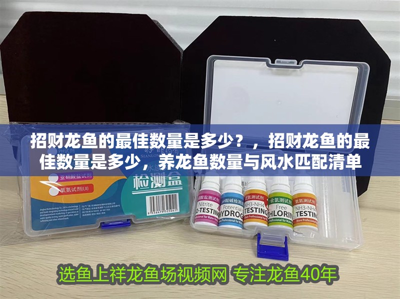 招財龍魚的最佳數量是多少？，招財龍魚的最佳數量是多少，養龍魚數量與風水匹配清單