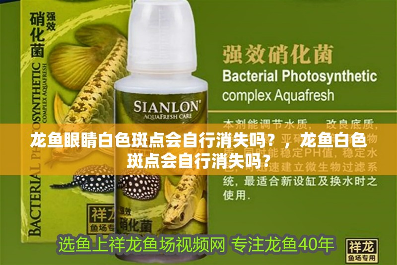 龍魚眼睛白色斑點(diǎn)會(huì)自行消失嗎？，龍魚白色斑點(diǎn)會(huì)自行消失嗎？