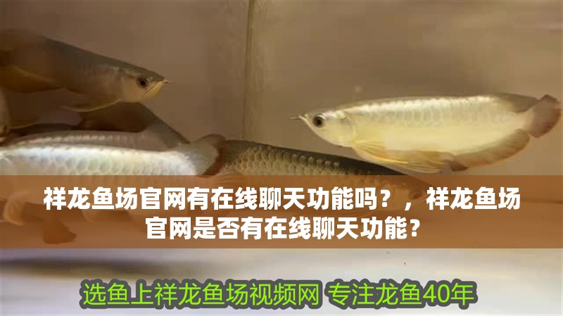 祥龍魚場官網有在線聊天功能嗎？，祥龍魚場官網是否有在線聊天功能？