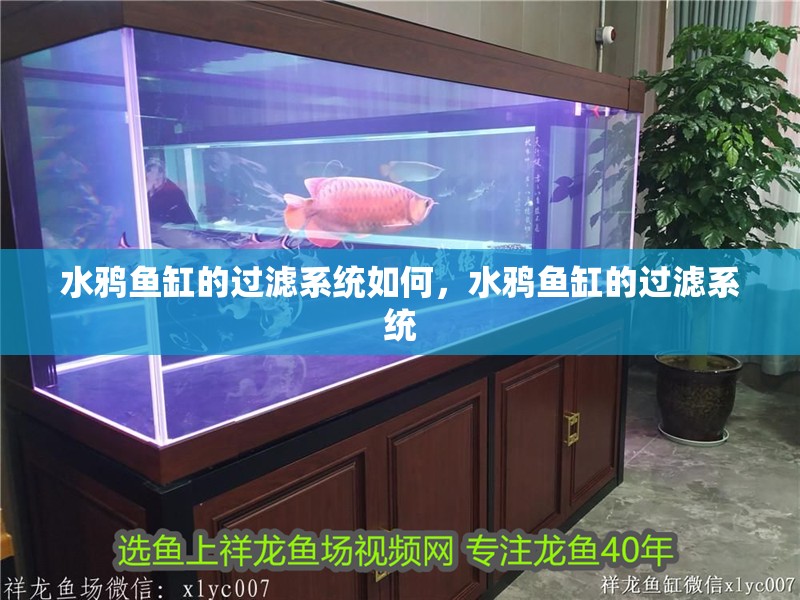 水鴉魚缸的過濾系統如何，水鴉魚缸的過濾系統