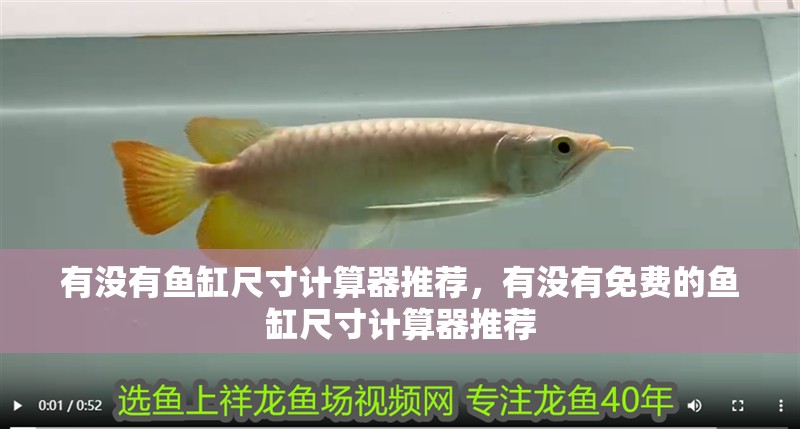 有沒有魚缸尺寸計算器推薦，有沒有免費的魚缸尺寸計算器推薦