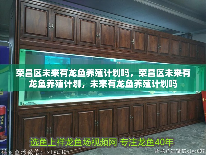 榮昌區未來有龍魚養殖計劃嗎，榮昌區未來有龍魚養殖計劃，未來有龍魚養殖計劃嗎