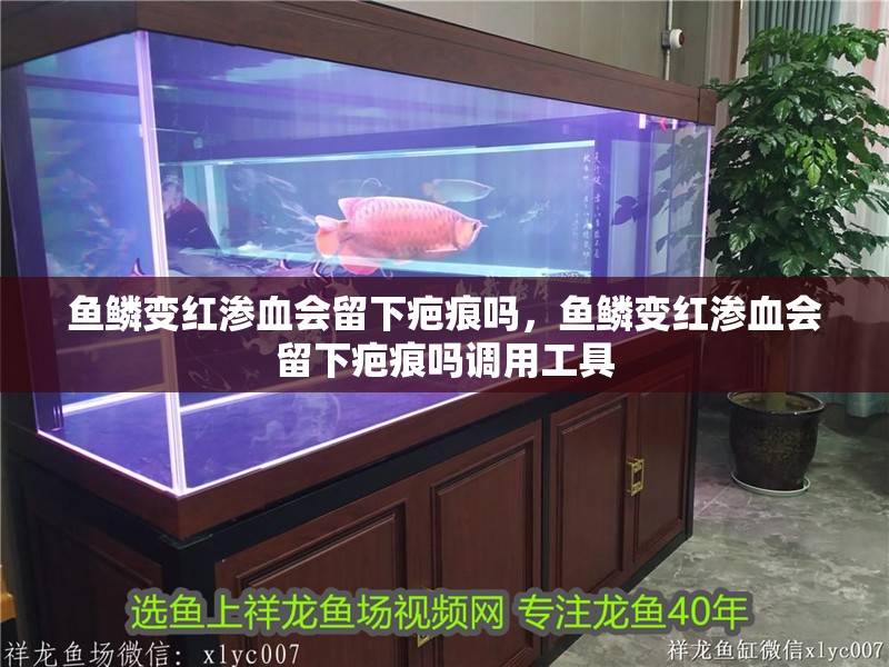 魚(yú)鱗變紅滲血會(huì)留下疤痕嗎，魚(yú)鱗變紅滲血會(huì)留下疤痕嗎調(diào)用工具