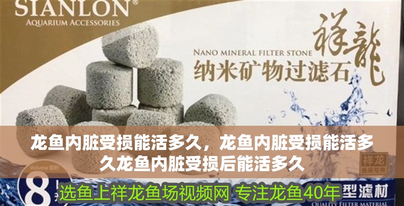 龍魚內臟受損能活多久，龍魚內臟受損能活多久龍魚內臟受損后能活多久