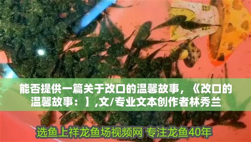 能否提供一篇關(guān)于改口的溫馨故事，《改口的溫馨故事：】,文/專業(yè)文本創(chuàng)作者林秀蘭