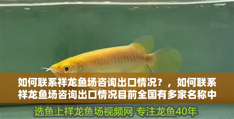 如何聯(lián)系祥龍魚場咨詢出口情況？，如何聯(lián)系祥龍魚場咨詢出口情況目前全國有多家名稱中包含“祥龍魚場”的養(yǎng)殖企業(yè)