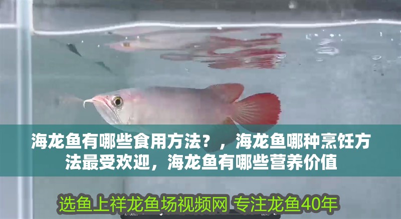 海龍魚有哪些食用方法？，海龍魚哪種烹飪方法最受歡迎，海龍魚有哪些營養(yǎng)價值