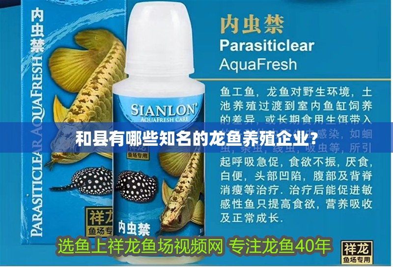 和縣有哪些知名的龍魚養(yǎng)殖企業(yè)？