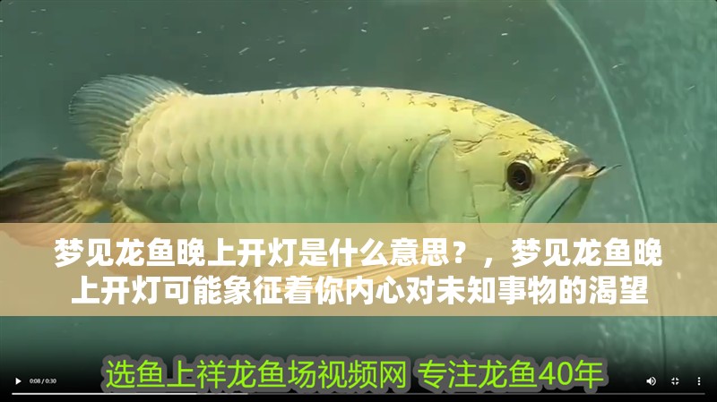 夢見龍魚晚上開燈是什么意思？，夢見龍魚晚上開燈可能象征著你內心對未知事物的渴望