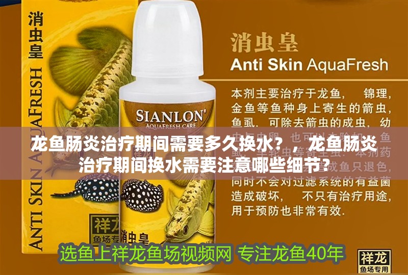 龍魚腸炎治療期間需要多久換水？，龍魚腸炎治療期間換水需要注意哪些細節？