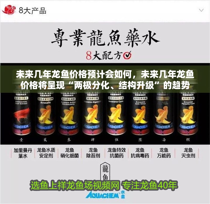 未來幾年龍魚價格預計會如何，未來幾年龍魚價格將呈現“兩極分化、結構升級”的趨勢