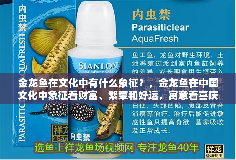 金龍魚在文化中有什么象征？，金龍魚在中國文化中象征著財富、繁榮和好運，寓意著喜慶和歡樂