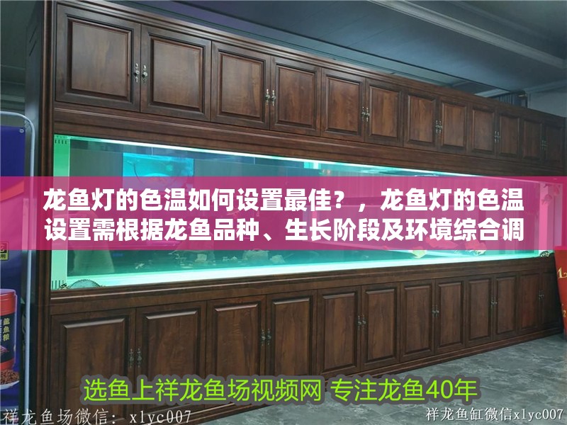 龍魚(yú)燈的色溫如何設(shè)置最佳？，龍魚(yú)燈的色溫設(shè)置需根據(jù)龍魚(yú)品種、生長(zhǎng)階段及環(huán)境綜合調(diào)整