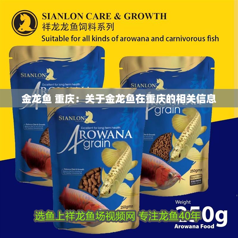 金龍魚 重慶：關于金龍魚在重慶的相關信息