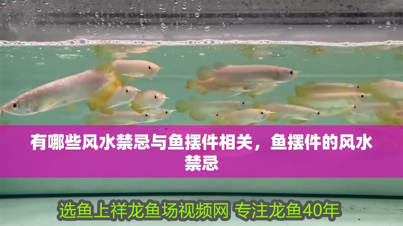 有哪些風水禁忌與魚擺件相關，魚擺件的風水禁忌