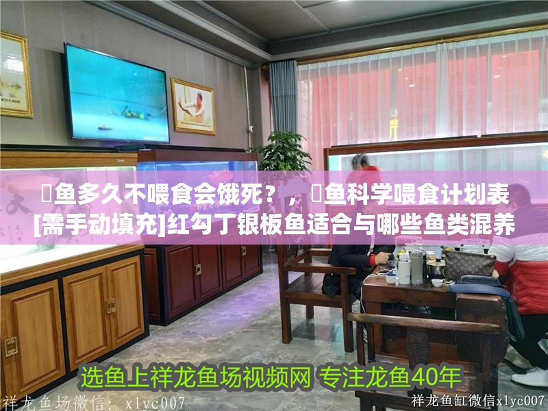 魟魚多久不喂食會餓死？，魟魚科學喂食計劃表[需手動填充]紅勾丁銀板魚適合與哪些魚類混養(yǎng)