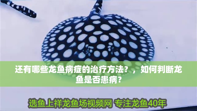 還有哪些龍魚病癥的治療方法？，如何判斷龍魚是否患病？