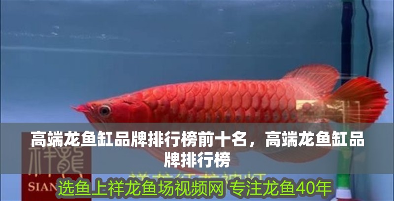 高端龍魚缸品牌排行榜前十名，高端龍魚缸品牌排行榜