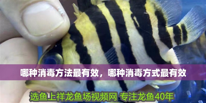 哪種消毒方法最有效，哪種消毒方式最有效