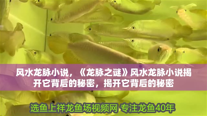 風水龍脈小說，《龍脈之謎》風水龍脈小說揭開它背后的秘密，揭開它背后的秘密