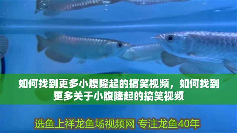 如何找到更多小腹隆起的搞笑視頻，如何找到更多關于小腹隆起的搞笑視頻