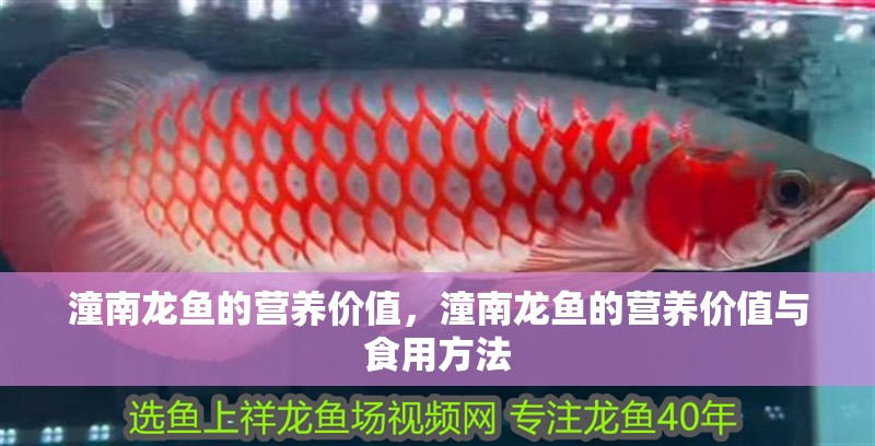 潼南龍魚的營養價值，潼南龍魚的營養價值與食用方法