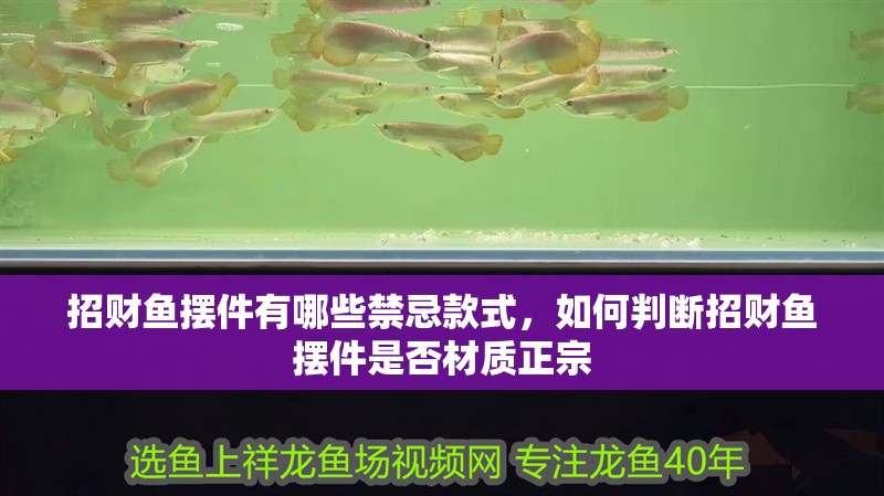 招財魚擺件有哪些禁忌款式，如何判斷招財魚擺件是否材質正宗