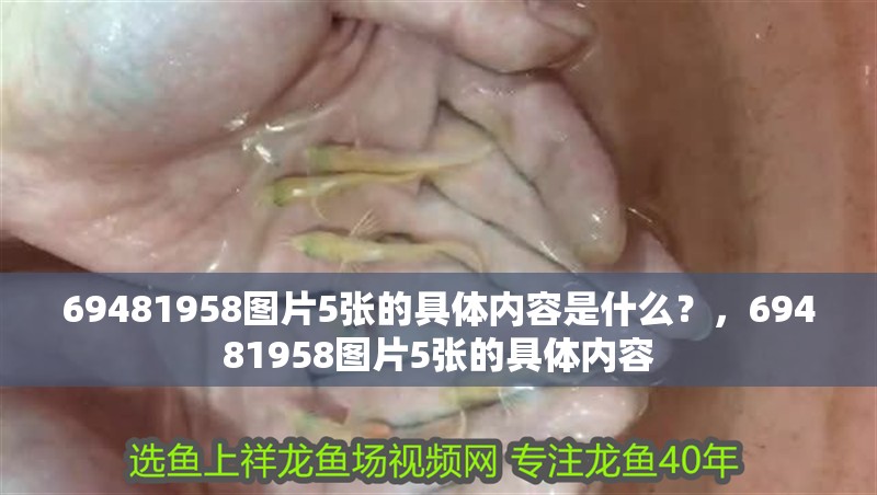 69481958圖片5張的具體內容是什么？，69481958圖片5張的具體內容