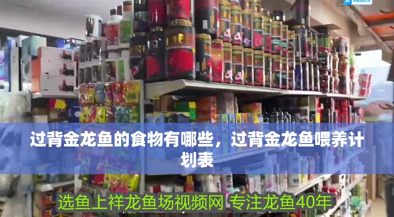 過背金龍魚的食物有哪些，過背金龍魚喂養(yǎng)計(jì)劃表