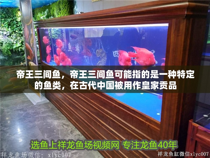 帝王三間魚，帝王三間魚可能指的是一種特定的魚類，在古代中國被用作皇家貢品