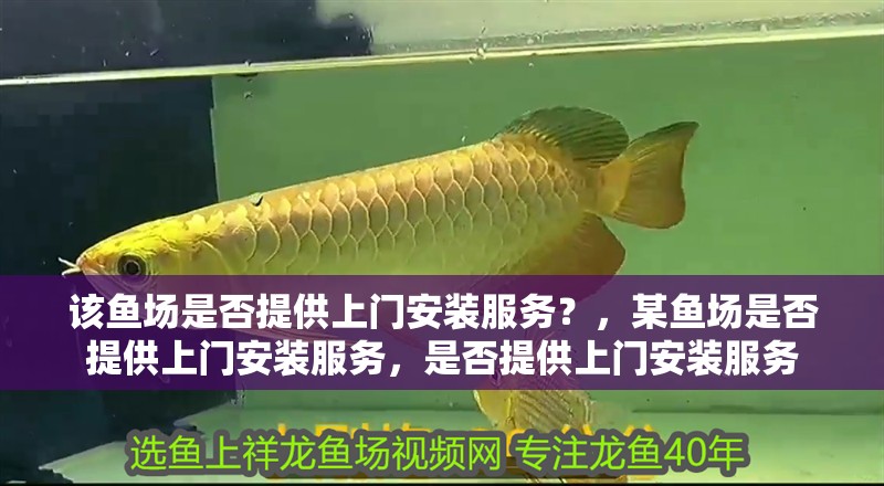 該魚場是否提供上門安裝服務？，某魚場是否提供上門安裝服務，是否提供上門安裝服務