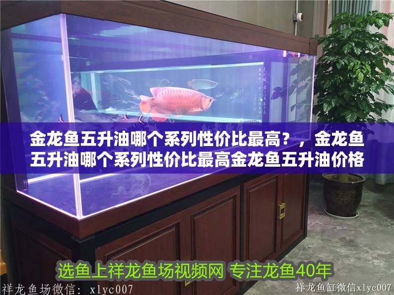 金龍魚五升油哪個系列性價比最高？，金龍魚五升油哪個系列性價比最高金龍魚五升油價格對比
