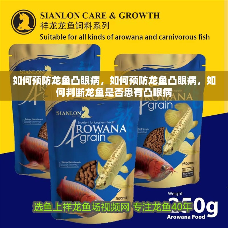 如何預防龍魚凸眼病，如何預防龍魚凸眼病，如何判斷龍魚是否患有凸眼病