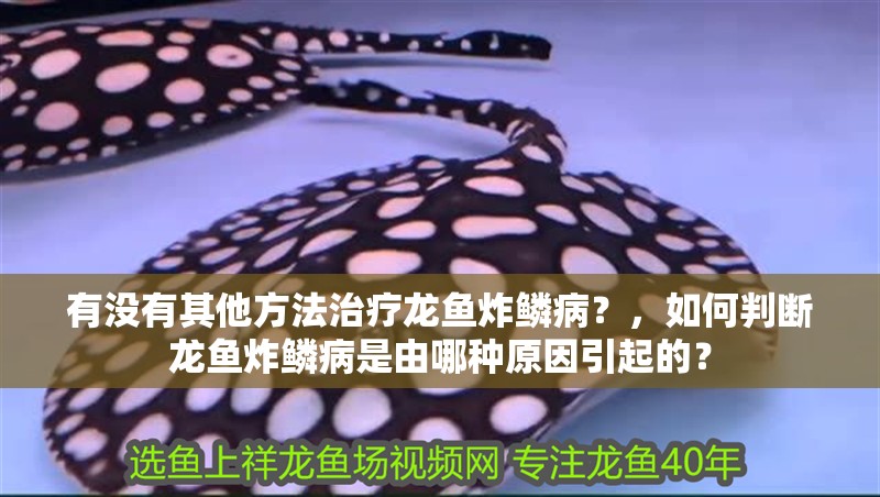 有沒有其他方法治療龍魚炸鱗病？，如何判斷龍魚炸鱗病是由哪種原因引起的？