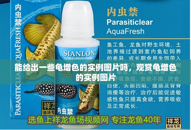 能給出一些龜增色的實例圖片嗎，觀賞龜增色的實例圖片