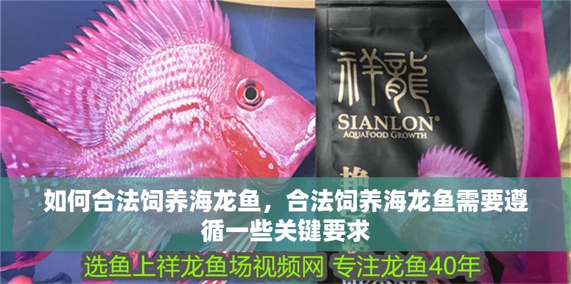 如何合法飼養海龍魚，合法飼養海龍魚需要遵循一些關鍵要求