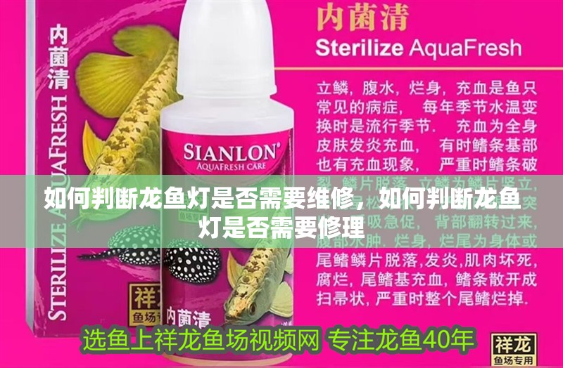 如何判斷龍魚燈是否需要維修，如何判斷龍魚燈是否需要修理